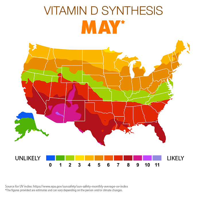 Vitamin D Synthesis - May