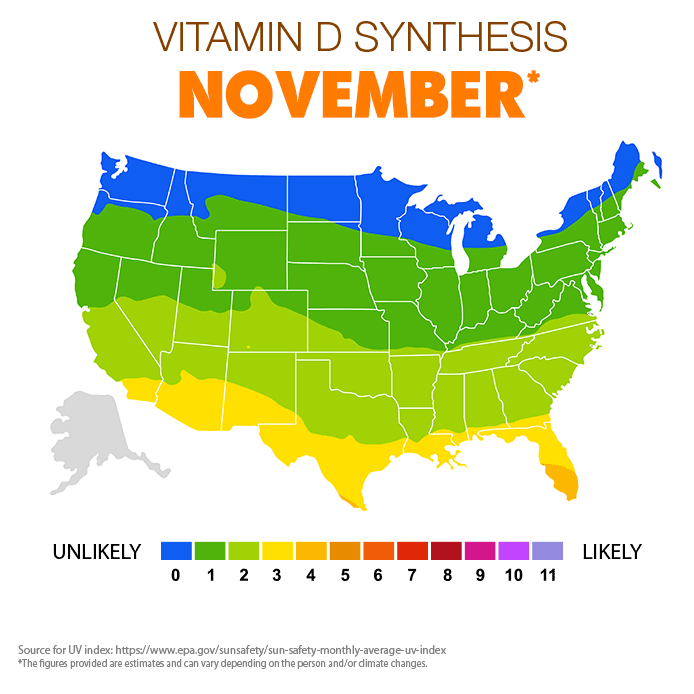 Vitamin D Synthesis - November