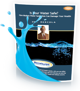 Chlorine Free Report