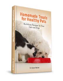 Homemade Treats for Healthy Pets eBook