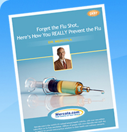Flu Prevention without Flu Shot Free Report