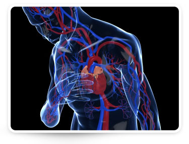 http://media.mercola.com/assets/images/mercola/hypertension-symptoms.jpg