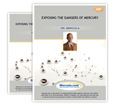 Mercury Facts Free Report