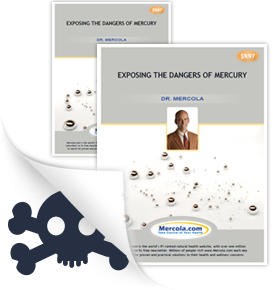 Mercury Facts Free Report