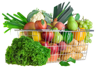 Pest Solutions for Food Safety