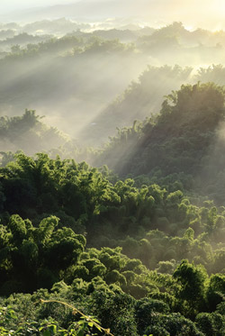 Las Montañas de Taiwan 