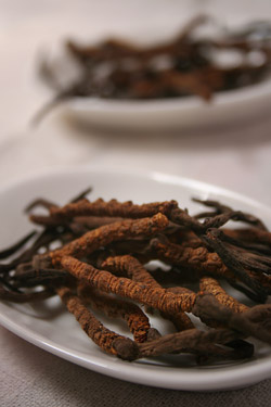 Hongo Seco Cordyceps