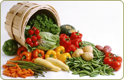Nutritional Typing - Carbs type