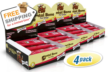 Dental Gentle Bones 4-pack