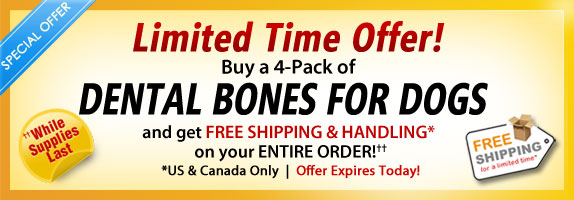 Dental Bones for Dogs 4-Pack Promo Free Shipping & Handling