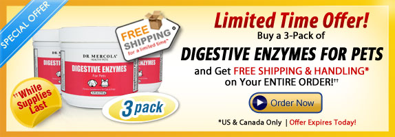 Buy 3-pack of Digestive Enzymes for Pets