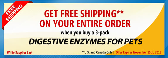 Limited Time Offer! Order a 3-pack of Digestive Enzymes and get a free shipping on your entire order!