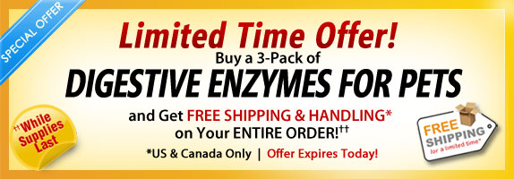 Limited Time Offer! Order a 3-pack of Digestive Enzymes and get a free shipping & handling on your entire order!
