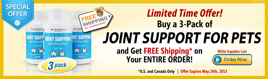Limited Time Offer! Buy a 3-Pack of Joint Support for Pets