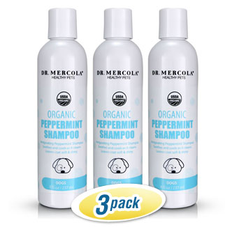 Organic Peppermint Shampoo for Dogs 3-pack