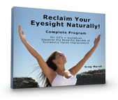 Vision Program
