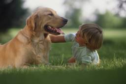 Natural Bug Spray for Pets