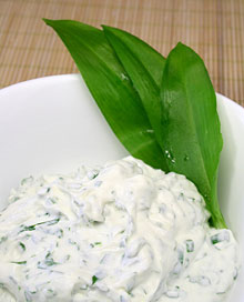 Queso Cuajado