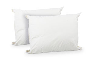 100% American Wool Pillow Standard 2-Pack