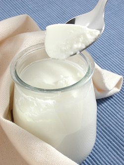 homemade yogurt