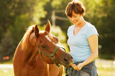horse, diet