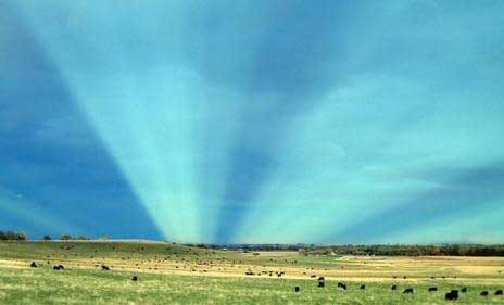 Rays