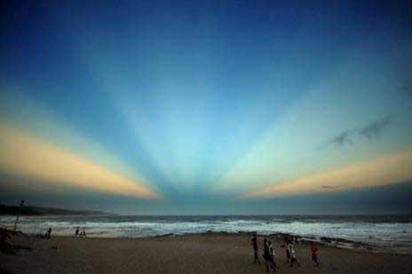 Rays