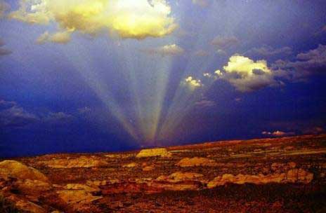 Rays