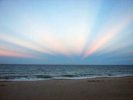 Rays