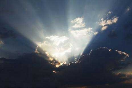 Rays