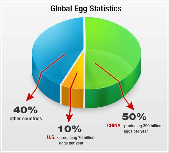 Global Chicken Egg Statistics