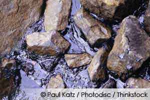 Environmental effects of an Oil Spill