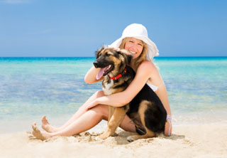 pet's cool summer
