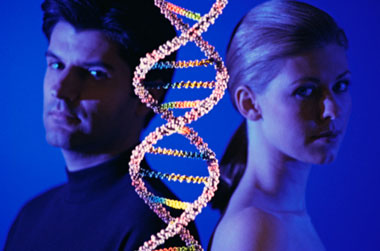 epigenetics, DNA