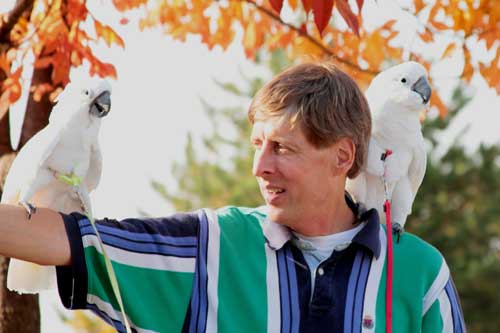 pet birds' safety