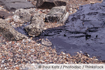 Oil Spill and its Effects