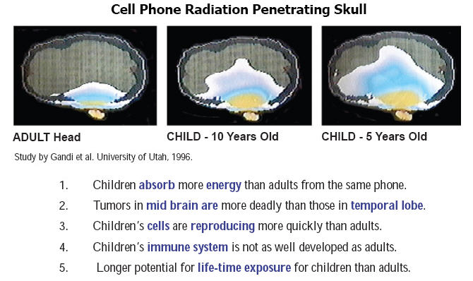 cellphone radiation