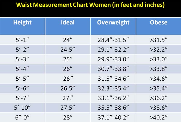 Healthy Waist Size Chart
