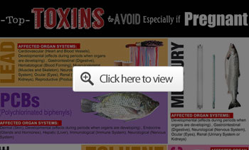 Toxins to Avoid if Pregnant Infographic Preview