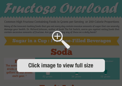 Fructose Overload Infographic Preview