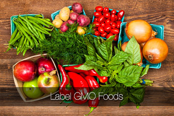GMO Labeling Laws