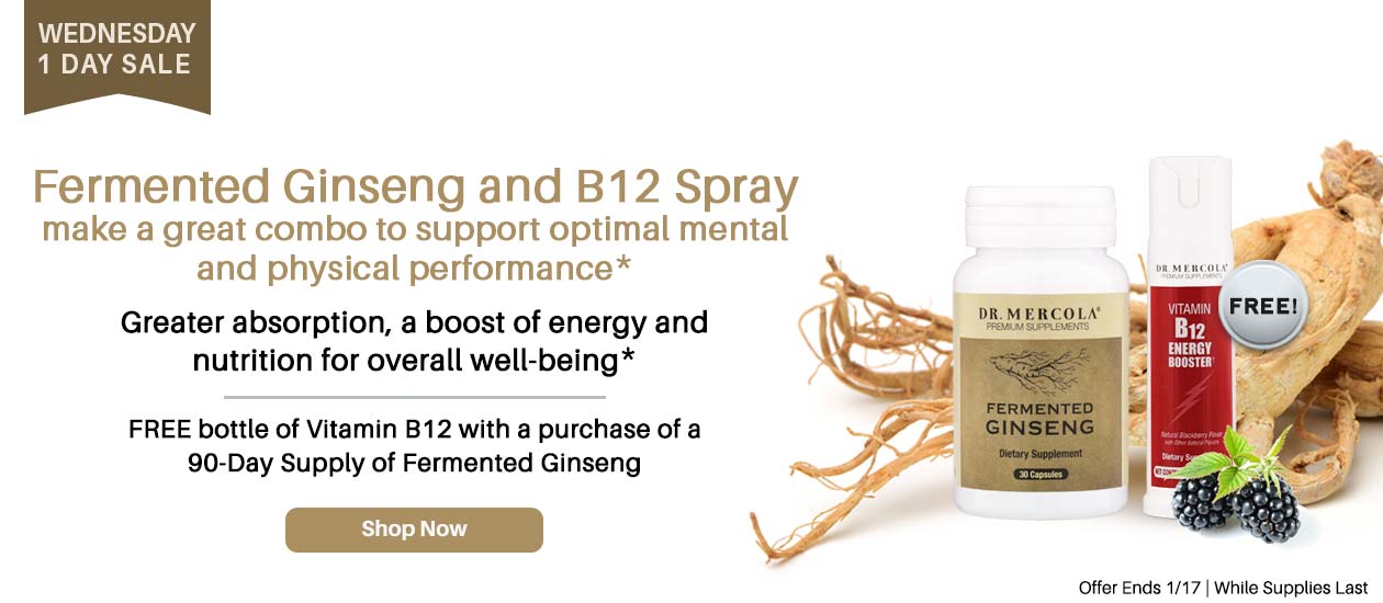FREE Vitamin B12 Spray With a Purchase of a 90-Day Supply of Fermented Ginseng