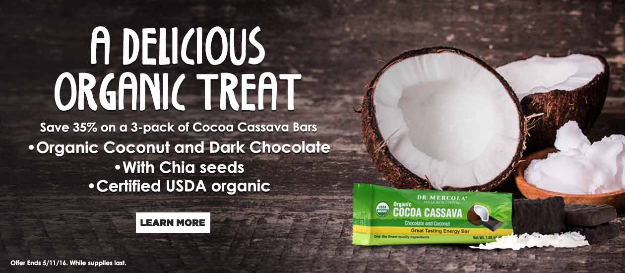 Save 35% on a 3-Pack of Cocoa Cassava Bars