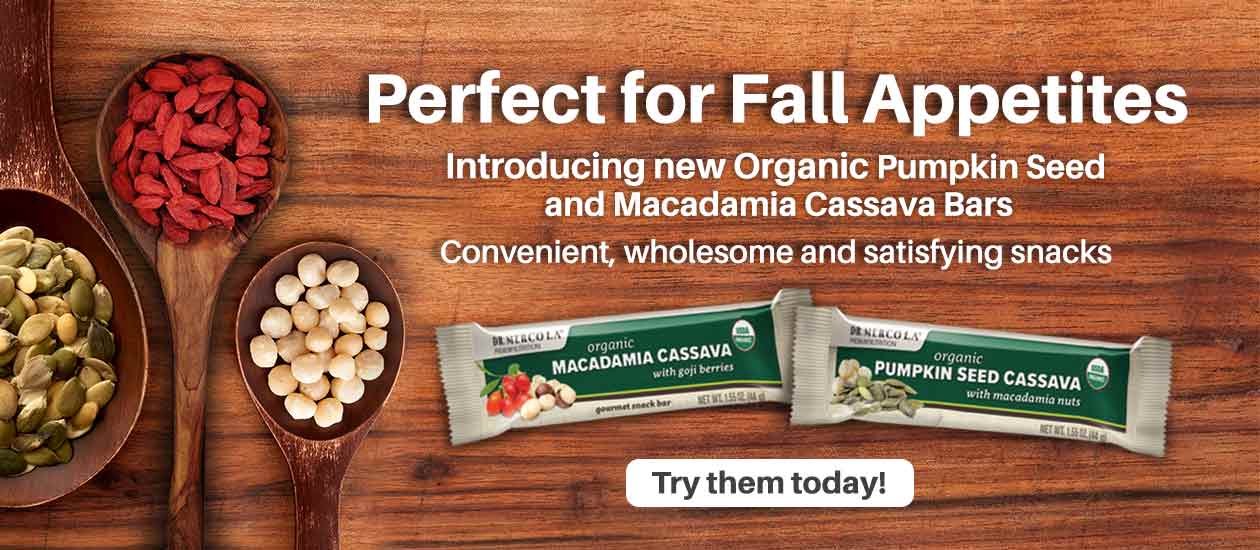 Introducing NEW Organic Pumpkin Seed and Macadamia Cassava Bars