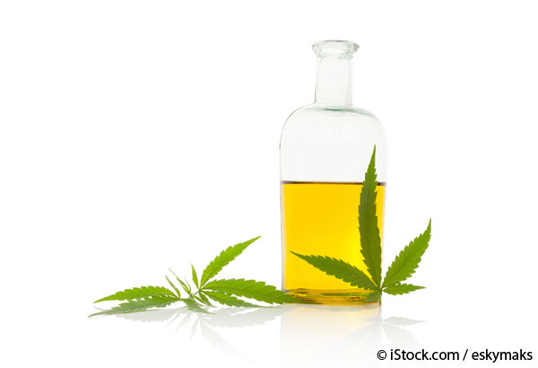 Herbal Oil: Hemp Oil Benefits and Uses