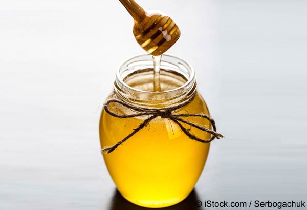 Article - Honey Work Against Herpes