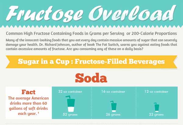 Infographics Fructose
