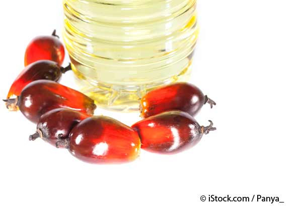 Herbal Oil - Palm Oil