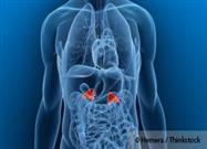 Understanding Adrenal Function
