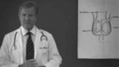 Men Who Fail to Do Testicular Self-Exam (TSE) Risk Dying